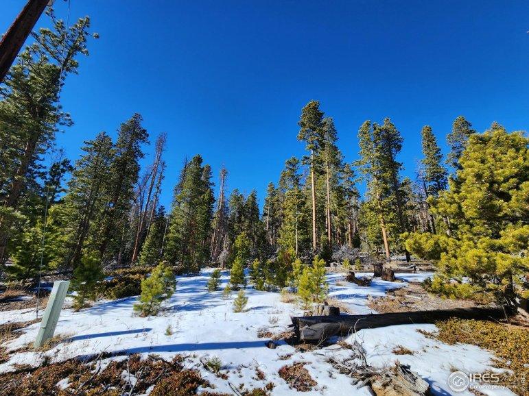 MLS 1003214