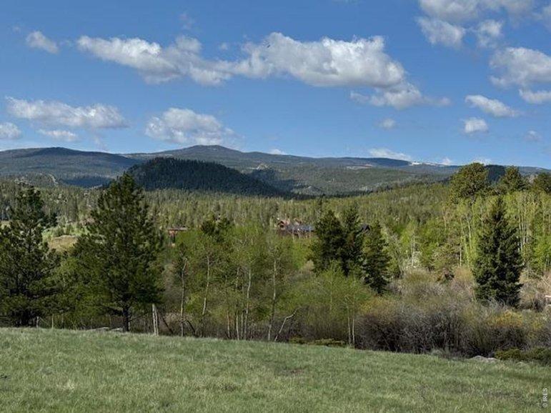 MLS 1063032